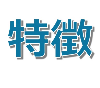 特徴